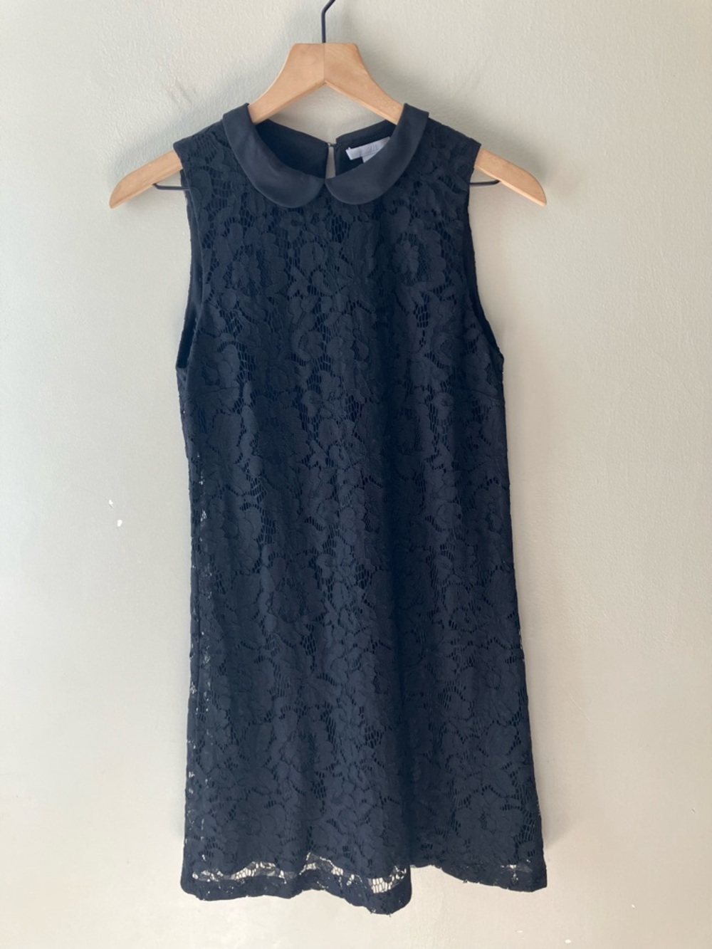 H&M Lace Peter Pan Collar Mini Dress